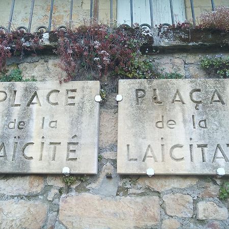 Au Pied Du Chateau - 5 A 11 Personnes - Baignade-Canoe-Piste Cyclable A 100 M Castelnaud La Chapelle Exterior photo