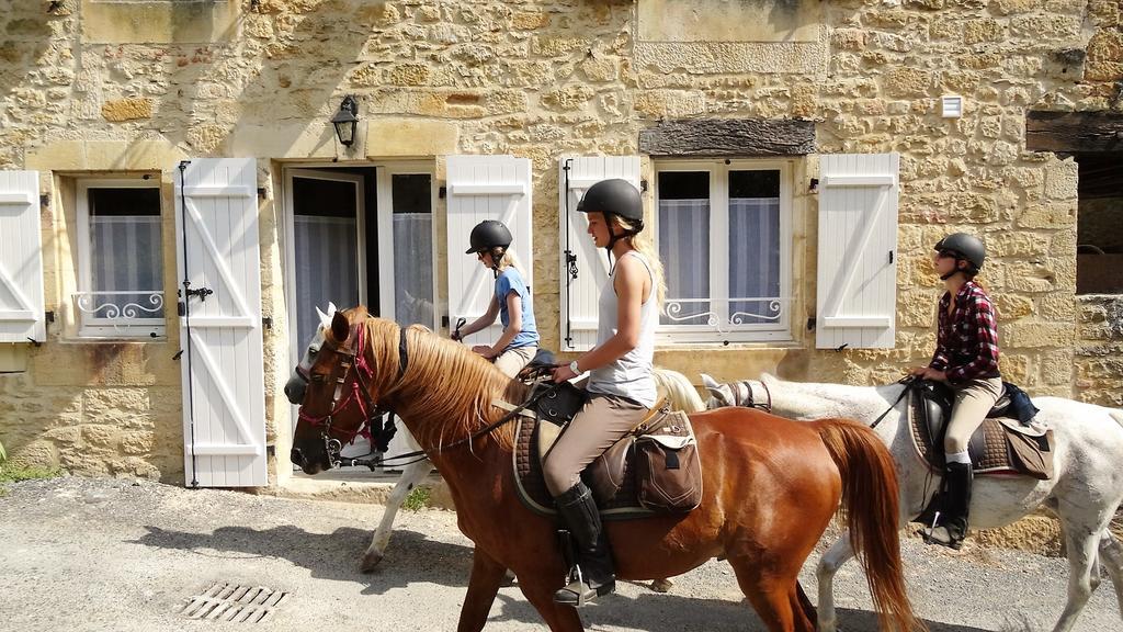 Au Pied Du Chateau - 5 A 11 Personnes - Baignade-Canoe-Piste Cyclable A 100 M Castelnaud La Chapelle Exterior photo